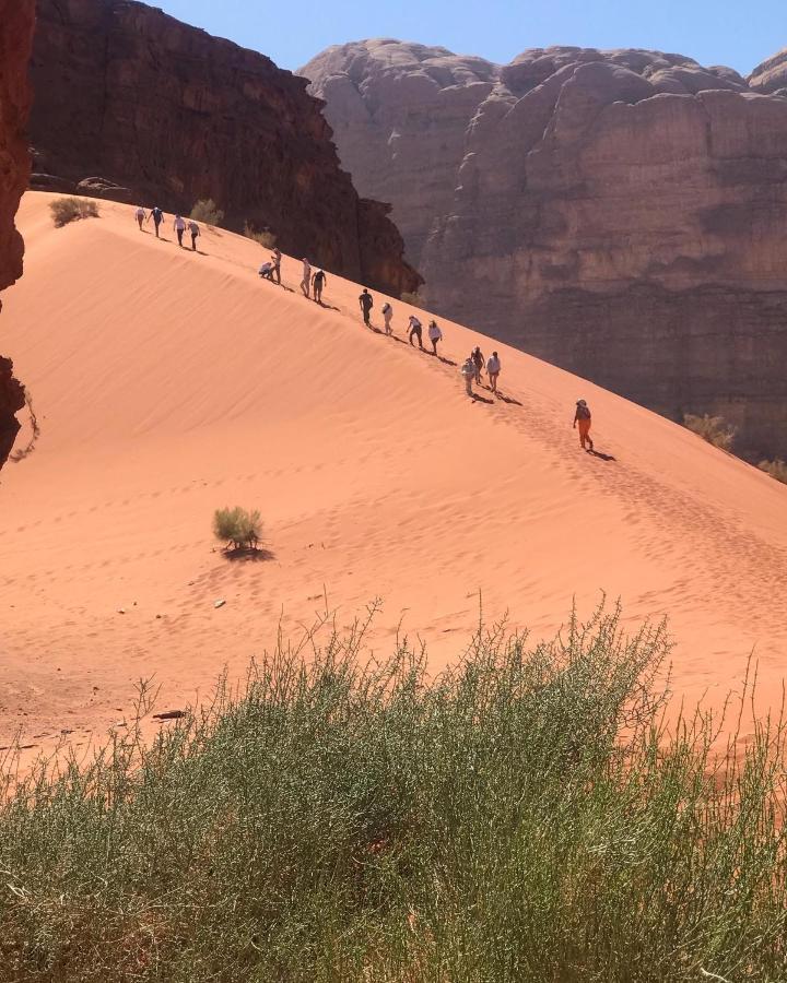 Hotel Black Irish Camp And Tours Wadi Rum Zewnętrze zdjęcie