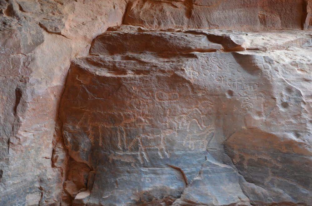 Black Irish Camp And Tours Wadi Rum Zewnętrze zdjęcie